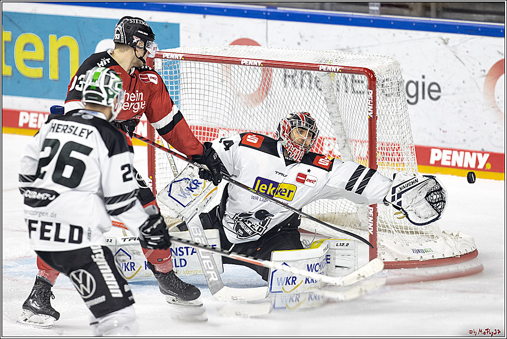 PENNY DEL;  Koelner Haie - Krefeld Pinguine; Koeln, 31.10.2021